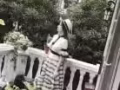 閒置全新衣服，