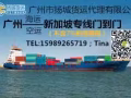 液晶显示屏从中国海运到新加坡双清到门