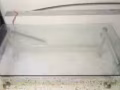 搬家转让客厅玻璃桌一张