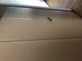 兀兰公寓主人房女搭房出租，
