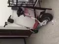 回国，电动车处理