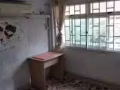 老文礼大牌199