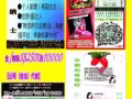 【公司代言】自由經紀，全/兼職，收入豐厚2500-10000！經驗國籍不拘