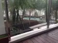 巴西立近地铁站公寓小房间出租，电话☎️81368367