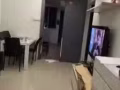 大巴窑整套出租 无中介费