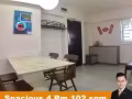 ? 碧山大公园 ?️ 美景 4房式HDB