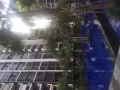 Sengkang square Condo 盛港公寓房间出租