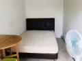淡濱尼11街有夫妻房，單人間，隔間出租，可報地址，電(8208-0208)