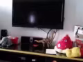 搬家甩卖