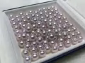 珍珠代理商 WhatsApp85715518