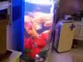 出售漂亮大氣魚缸
