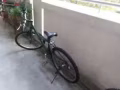 这个脚车30新币