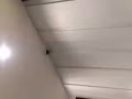 专业电工