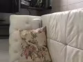 大巴窑 普通房出租 楼下bus站 