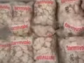 东北手工水饺零售，批发       东北纯粮小烧！！