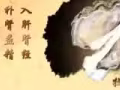 权健肽™黑莓片压片----男人的加油站，女人的美容院
