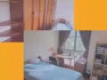 Bukit timah spingdale 豪华公寓大户型整租
