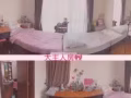 Bukit timah spingdale 豪华公寓大户型整租