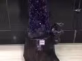 紫水晶洞?