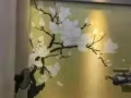 集美居士       生態硅藻泥