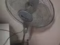风扇5个