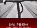全新電動車 出售