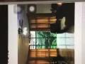 柏奥园公寓出租