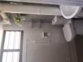 想找孩子看护