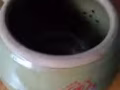 自用中药沙煲一个低价转
