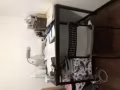 黑色桌子 30新 