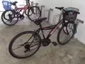 現在有兩個自行車出售，八成新60，六成新30，德曼花園，自取