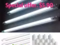 Hi, hi, hi, 你還在用節能燈具嗎？？難道你還在付冤枉錢麼？？