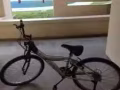 低價轉讓八成新自行車