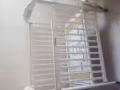 嬰兒床