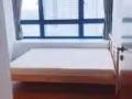 花拉公园city square residence 普通房出租 $1100