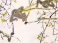 名师中国传统国画水墨画速成班火热招生中