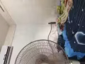 近湖畔地铁lakeside tower 9号私人公寓普通房出租