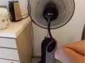 风扇，随时可以拿，便宜卖