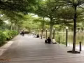 只要你開心，一切聽你指揮來新加坡一年第一次嘗試找女孩啪啪，可視頻驗證大jj