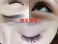 专业上门美睫