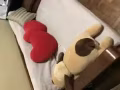 九成新紅木沙發