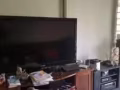 60寸sharp TV 800新币，Sony 40寸电视250新币