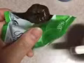隨便果空運直郵新加坡