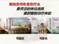 特色中医艾灸