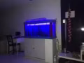鱼缸带鱼，过滤器，潜水泵，沉木出售