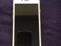 蘋果6plus，金錢樹，………………