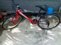 本人近期回國了！低價出售自行車