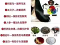 敬亲恩白转黑洗发水