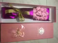 交友必不可少的玫瑰