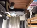 後港公寓主人房招租，可報地址